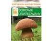 Hřib dubový (Boletus reticulatus)- mykorhyzní mycelium