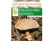 Hřib plstnatý  (Xerocomus subtomentosus)- mykorhyzní mycelium