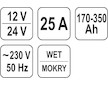 Nabíječka 25A 12/24V