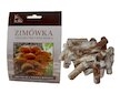 Penízovka sametonohá (Flammulina velutipes) 20 ks - podhoubí na kolících