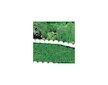 Plastový zahradní obrubník 10m, 90mm GARDEN LINE (různé barvy)