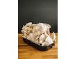 Směs pro pěstování Hlíva ústřičná 15kg (Pleurotus ostreatus)