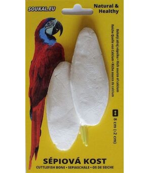 Sépiová kost na kartě cca 8 cm (2 ks)