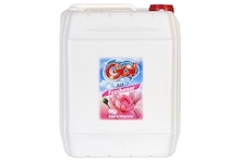 GO! Air Freshener Rose a Magnolia 5l