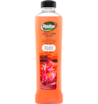 Radox pěna do koupele 500ml Eastern spirit