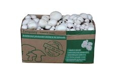 Sada pro pěstování Žampión bílý 10kg (Agaricus Bisporus)