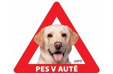 Samolepka pes v autě venkovní LABRADOR ZLATÝ